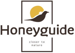 Honeyguide Tarangire Camp